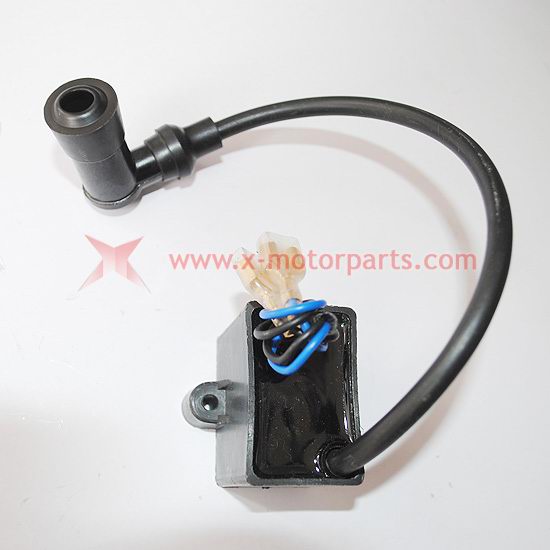 Ignition Coil for 80cc 2-Stroke Engine Motorized Bicycles